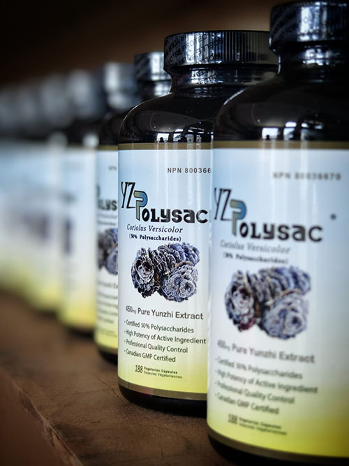 YZ Polysac 產品圖片